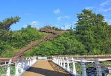 광양시, 삼화섬 경관조명 설치…‘해비치로’ 중심 관광명소화 추진