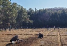 광양 금호동, 주말농장 경작자 추첨 완료…16일부터 본격 운영