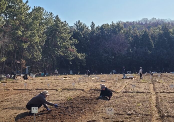 202603012 금호주말농장 14