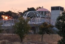 “밤이 더 아름다워…”광양 ‘해오름육교’, 해안 관광 명소 주목