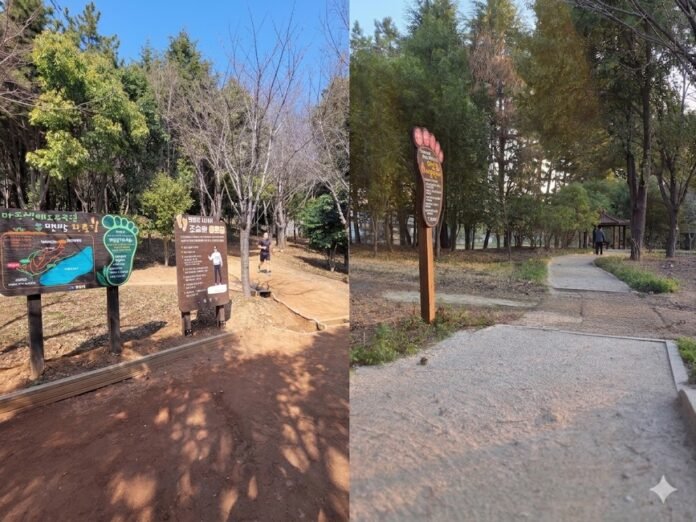 20260404 맨발걷기 비교사진