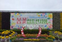 광양 봄꽃 집중전시회, 도심 속 꽃물결···시민 발길 이어져 광양시농업기술센터 시험포장 내 튤립·팬지 등 다양한 봄꽃이 전시된 광양시 봄꽃 집중전시회 현장이다.