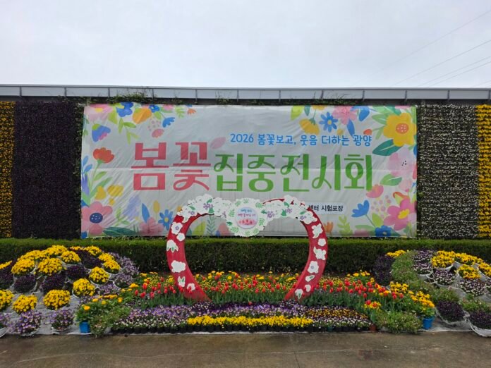 광양시농업기술센터 시험포장 내 튤립·팬지 등 다양한 봄꽃이 전시된 광양시 봄꽃 집중전시회 현장이다.