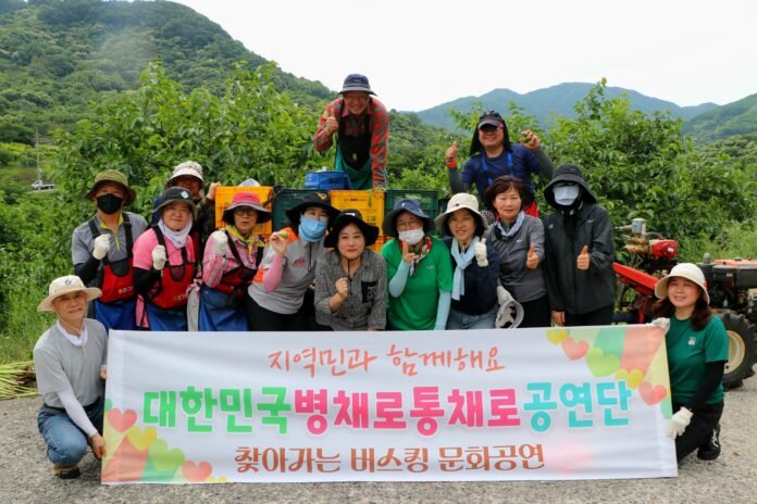 병채로통채로공연단 어치마을 매실따기 봉사활동