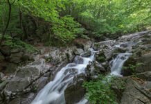 광양시, ‘4대 계곡’ 물놀이 현장 방문 … 안전 점검 ‘완료’