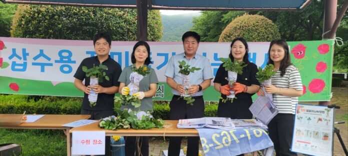 버려지는 장미 줄기로 ‘자원순환 가치’ 피우기 위해 광양시청 녹지과 직원들이 삽수용 장미줄기 나눔행사를 하고 있다.