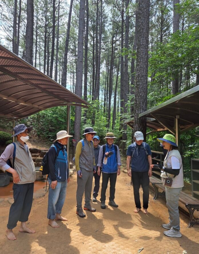 20260809 백운산 휴양림 산림 숲해설 메인 1